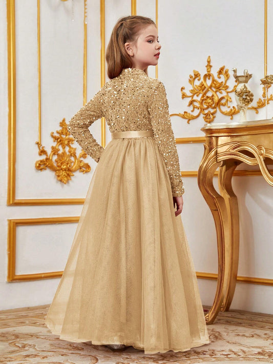 Elegant Girls' Turtleneck Long-Sleeve A-Line Tulle Princess Dress